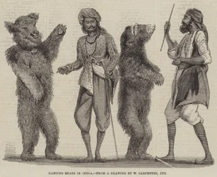 Dancing Bears in India